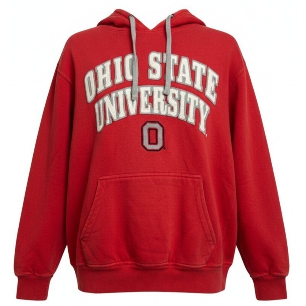 The Ohio State Buckeyes Heavy Appliqué Hoodie Men Large  Distressed Carl Banks